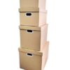 Carton box with lid1 (1)