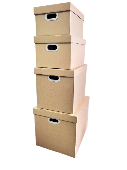 Carton box with lid1 (1)