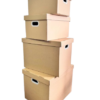 Carton box with lid1 (2)
