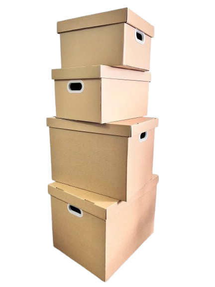 Carton box with lid1 (2)